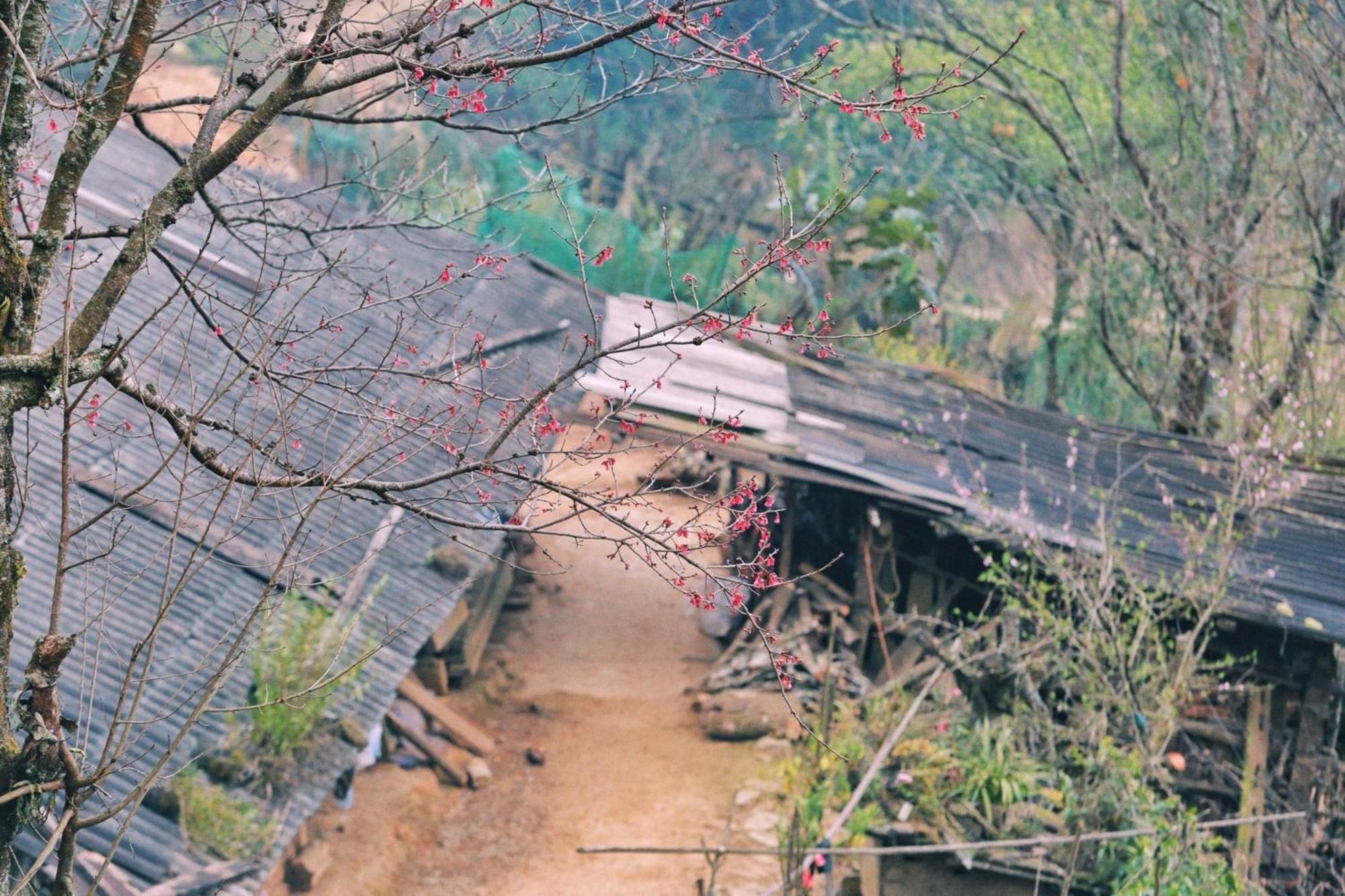 Nha Hang Homestay Pho Nui Bac Yen Eksteriør bilde